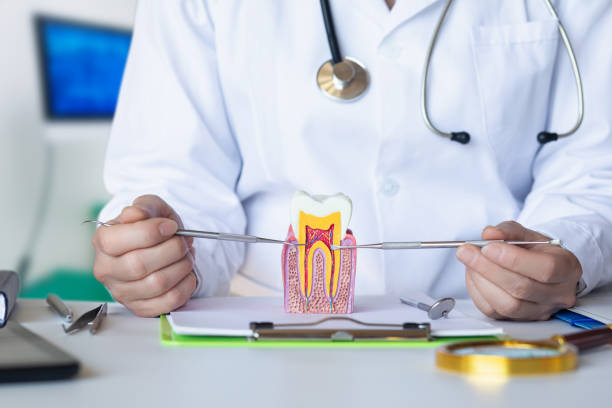 Best Broken or Cracked Tooth Emergency Dentist in Robinhood, MS